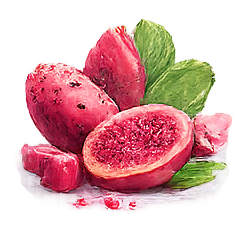 Koubo